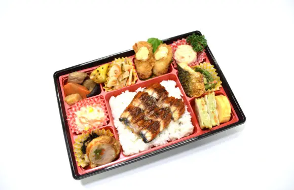 ふわふわうなぎと牡蠣フライの和食仕出し弁当